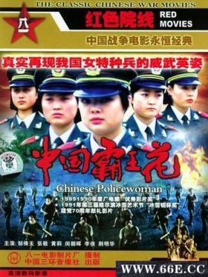 细胞的故事